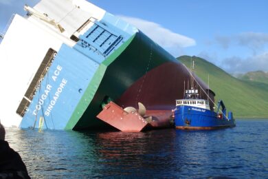 Salvage and Wreck Removal Beset by Chronic Problems