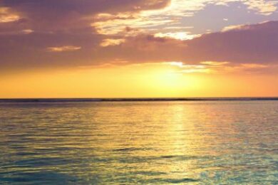 LOC appoints Jerome Rutler as Group Chief Operating Officer