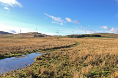 EPG co-authors White Paper Guidelines for Onshore Wind Development on Scotland’s Peatland Habitats