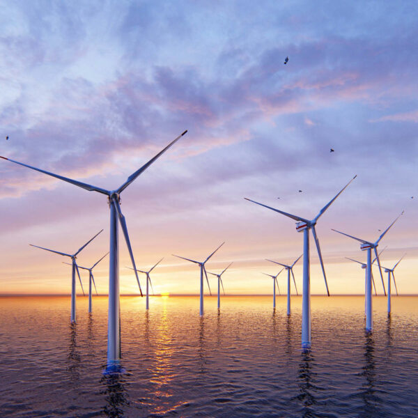 Hidromod’s Aquasafe Platform Supports Offshore Aquaculture within Wind Farms 