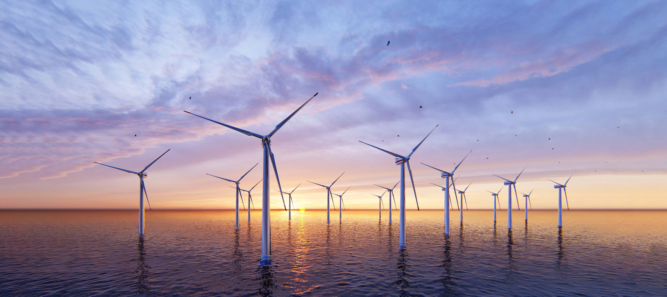Hidromod’s Aquasafe Platform Supports Offshore Aquaculture within Wind Farms 