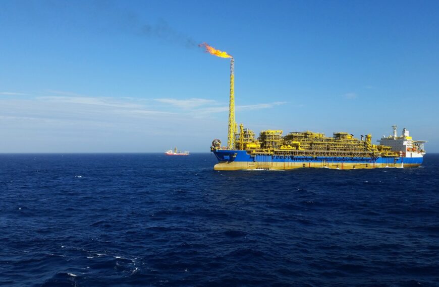 Structural Integrity Management Case Studies for FPSOs